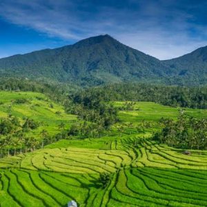 Bali Heritage Site Tour – BM03