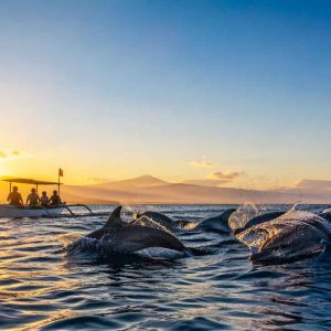 Sunrise Dolphin Hunter – Wanagiri Hidden Hills – BM13