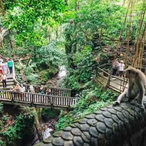 Ubud and Its Surroundings – BM09